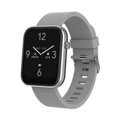 Denver SW-182GR Grey цена и информация | Смарт-часы (smartwatch) | hansapost.ee