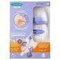 Pudelite komplekt Lansinoh Natural Wave, 0+ kuud, 2 tk, 240 ml цена и информация | Lutipudelid ja tarvikud | hansapost.ee