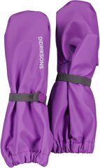 Детские теплые дождевые перчатки Didriksons PILEGLOVE 8, фиолетовый цвет цена и информация | Непромокаемая одежда для детей | hansapost.ee