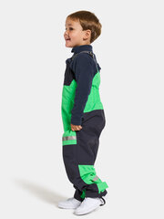 Детские утепленные брюки Didriksons весна-осень CLOUD, зелено-черный цвет цена и информация | Штаны для мальчиков | hansapost.ee