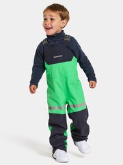 Детские утепленные брюки Didriksons весна-осень CLOUD, зелено-черный цвет цена и информация | Didriksons Одежда для мальчиков | hansapost.ee