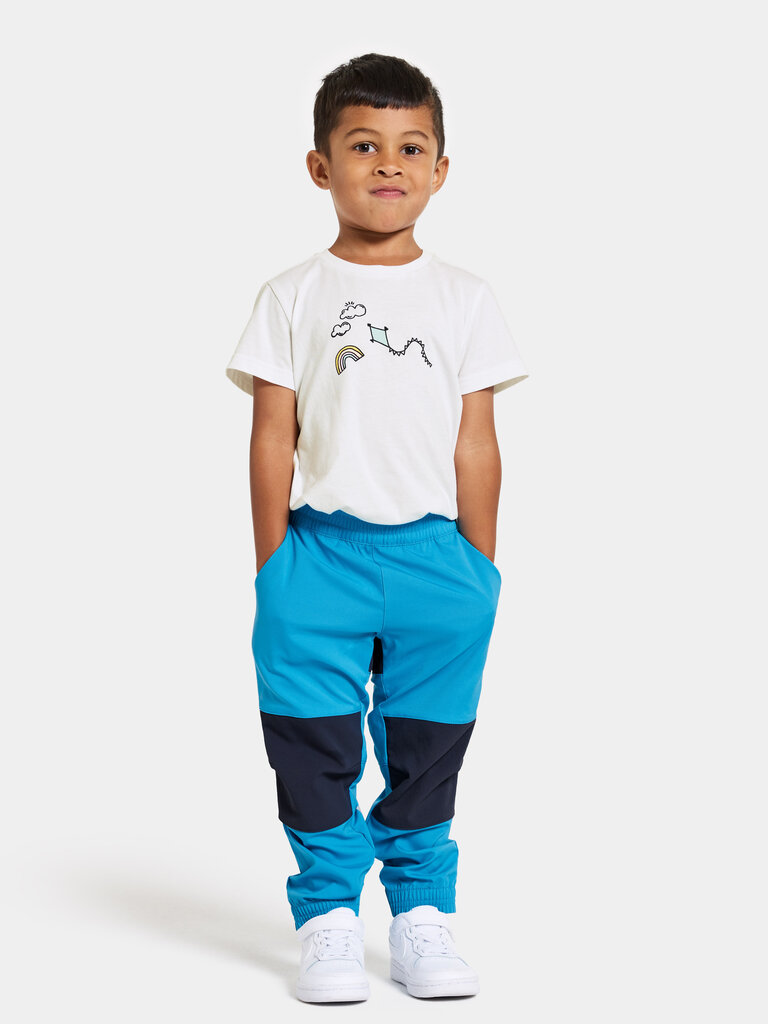 Didriksons laste kevad-sügis softshell püksid BLÅBÄR, sinine hind ja info | Püksid poistele | hansapost.ee