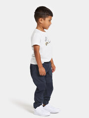 Didriksons весенне-осенние детские штаны softshell BLÅBÄR, темно-синего цвета цена и информация | Didriksons Одежда для мальчиков | hansapost.ee