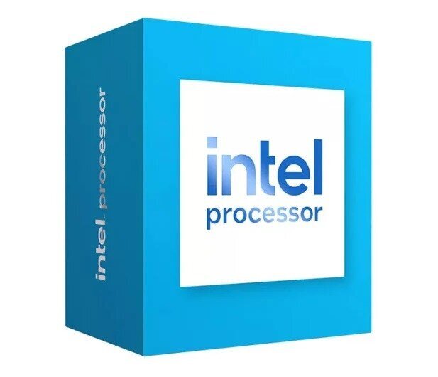 Intel 300 Raptor Lake-S Box BX80715300 цена и информация | Protsessorid | hansapost.ee