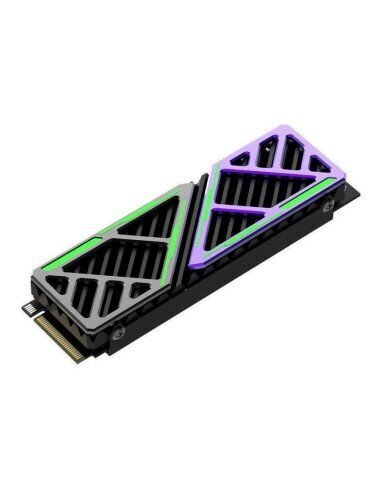 Hiksemi FutureX HS-SSD-FUTUREX1024G hind ja info | Sisemised kõvakettad | hansapost.ee