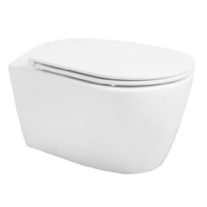 Seinapealne wc-pott TWH1088 Rimless цена и информация | WС-potid | hansapost.ee