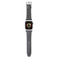 Apple Watch 38/40/41mm, silver цена и информация | Nutikellade aksessuaarid ja tarvikud | hansapost.ee