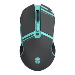 Thunderobot Dual-Modes Gaming mouse ML703 (black) kaina ir informacija | Компьютерные мыши | hansapost.ee