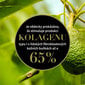 Pinguldav näokreem Antipodes Lime Caviar Collagen-Rich pinguldav kreem, 60 ml hind ja info | Näokreemid | hansapost.ee