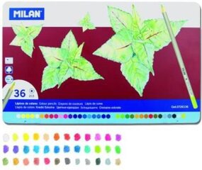 Värvipliiatsite komplekt Milan 0726136 hind ja info | Milan Koolitarvikud | hansapost.ee