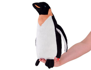 Pehme pingviin, 30cm hind ja info | Pehmed mänguasjad ja kaisukad | hansapost.ee