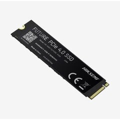 Hiksemi Future HS-SSD-FUTURE(STD)/2048G/PCIE4/WW цена и информация | Hikvision Компьютерная техника | hansapost.ee