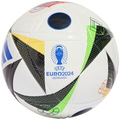 Jalgpallipall Adidas Euro24 liiga J350 IN9376 цена и информация | Футбольные мячи | hansapost.ee