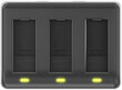 Newell SDC-USB GoPro AHDBT-901 цена и информация | Auto akulaadijad | hansapost.ee