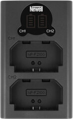 Newell зарядное устройство DL-USB-C Sony NP-FZ100 цена и информация | Зарядные устройства для видеокамер | hansapost.ee
