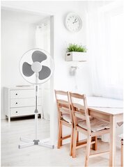 Platinet ventilaator 16, hall hind ja info | Platinet Remondikaubad, sanitaartehnika ja kütteseadmed | hansapost.ee