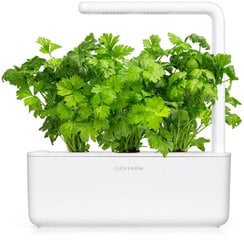 Click & Grow Smart Garden Refill Листовой сельдерей 3 шт. цена и информация | Семена овощей, ягод | hansapost.ee