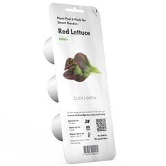 Click & Grow Smart Garden refill Red Красный салат 3 шт. цена и информация | Семена овощей, ягод | hansapost.ee