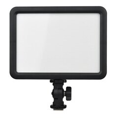 Godox видеосвет P120C LED Slim цена и информация | Осветительное оборудование для фотосъемок | hansapost.ee
