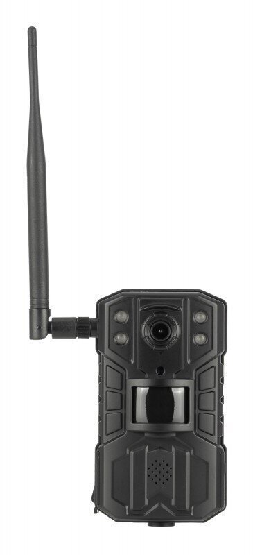 Redleaf RD6300 LTE цена и информация | Videokaamerad | hansapost.ee
