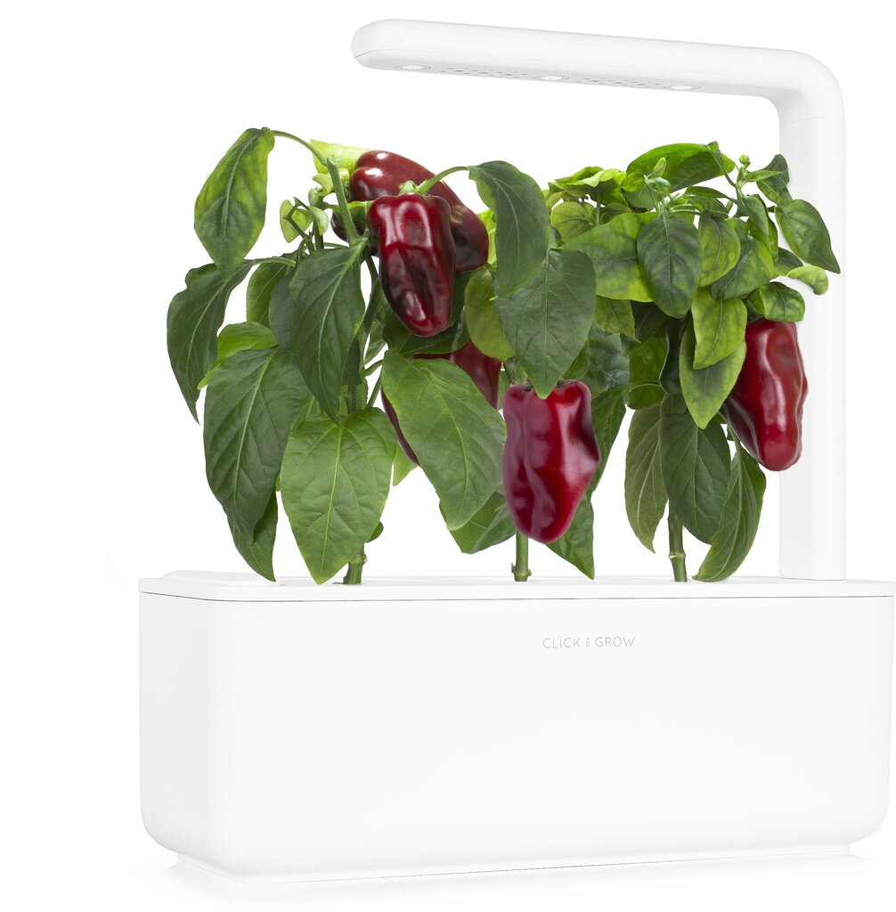 Click & Grow Smart Garden refill Punane paprika 3tk цена и информация | Marja- ja köögiviljaseemned | hansapost.ee