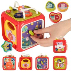 Обучающий игрушечный кубик Kik цена и информация | KIK Товары для детей и младенцев | hansapost.ee