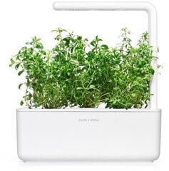 Mägi-piparrohi Click & Grow Smart Garden refill, 3tk hind ja info | Ürtide ja maitsetaimede seemned | hansapost.ee