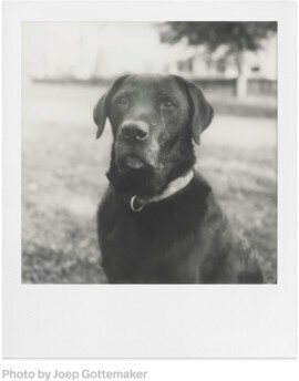 Polaroid SX-70 B&W Uus цена и информация | Fotoaparaatide lisatarvikud | hansapost.ee