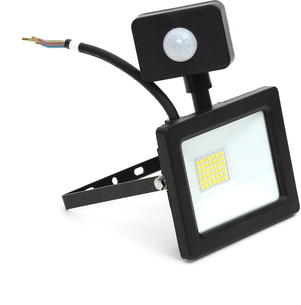 Omega LED prožektor 30W 4200K (45694) цена и информация | Taskulambid, pealambid ja prožektorid | hansapost.ee