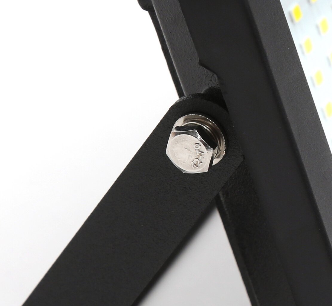 Omega LED prožektor 50W 4200K (45695) hind ja info | Taskulambid, pealambid ja prožektorid | hansapost.ee