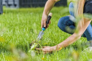 Umbrohujuurija EcoLine Gardena hind ja info | Aiatööriistad | hansapost.ee