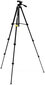 National Geographic statiiv Small NGPT001 hind ja info | Fotoaparaatide statiivid | hansapost.ee