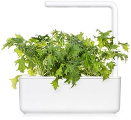 Lehtnaeris Click & Grow Smart Refill, 3tk hind ja info | Ürtide ja maitsetaimede seemned | hansapost.ee