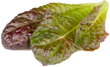 Punane Rooma salat Click & Grow Smart Refill, 3tk hind ja info | Marja- ja köögiviljaseemned | hansapost.ee