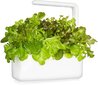 Punase tammelehe salat Click & Grow, 3 tk цена и информация | Marja- ja köögiviljaseemned | hansapost.ee