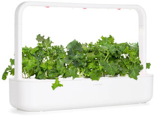 Click & Grow Smart Refill Зеленая капуста кале 3 шт. цена и информация | Семена овощей, ягод | hansapost.ee