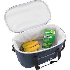 Külmakott Easy Camp Chilly L, 28 l, sinine цена и информация | Сумки-холодильники | hansapost.ee