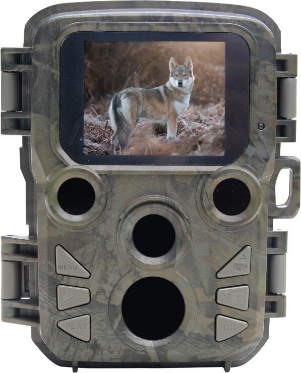 Braun rajakaamera Scouting Cam Black800 Mini hind ja info | Valvekaamerad | hansapost.ee