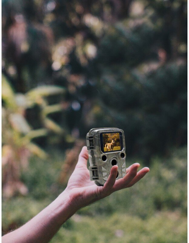 Braun rajakaamera Scouting Cam Black800 Mini hind ja info | Valvekaamerad | hansapost.ee