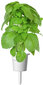 Marseille basiilik Click & Grow Smart Garden refill, 3tk hind ja info | Ürtide ja maitsetaimede seemned | hansapost.ee