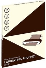 Конверт с ламинацией GRAND, А3 (303х426 мм), 125 мкр цена и информация | Канцелярские товары | hansapost.ee