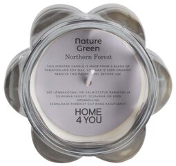 Lõhnaküünal klaasis Nature Green H9,2cm, Northern Forest hind ja info | Küünlad, küünlajalad | hansapost.ee