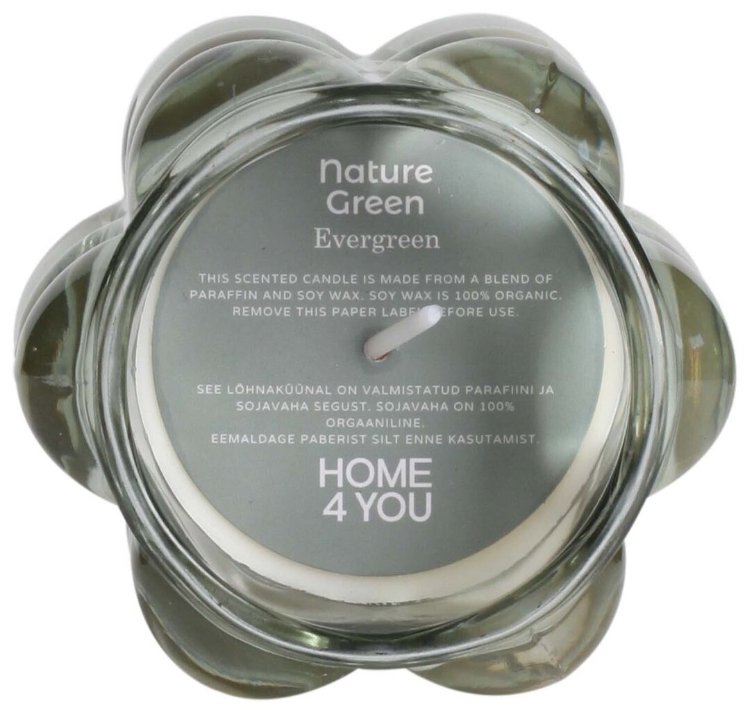 Lõhnaküünal klaasis Nature Green H9,2cm, Evergreen hind ja info | Küünlad, küünlajalad | hansapost.ee