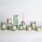 Lõhnaküünal klaasis Nature Green H9,2cm, Evergreen hind ja info | Küünlad, küünlajalad | hansapost.ee