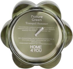 Lõhnaküünal klaasis Nature Green H9,2cm, Tranquil Summer hind ja info | Küünlad, küünlajalad | hansapost.ee