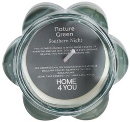 Lõhnaküünal klaasis Nature Green H9,2cm, Southern Night hind ja info | Küünlad, küünlajalad | hansapost.ee