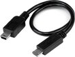 STARTECH 8in Micro to Mini USB Cable цена и информация | Mobiiltelefonide kaablid | hansapost.ee
