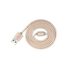 Devia MFI, USB-Lightning, 1.2m hind ja info | Mobiiltelefonide kaablid | hansapost.ee