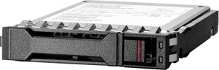 Hewlett Packard Enterprise P40507-B21 hind ja info | Sisemised kõvakettad | hansapost.ee