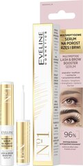 Seerum Lash&Brow ripsmetele ja kulmudele multipeptiididega Eveline Cosmetics, 4 ml hind ja info | Lauvärvid, ripsmetušid ja silmapliiatsid | hansapost.ee